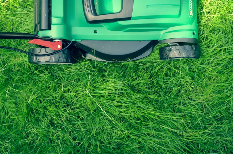 Tonte de pelouse après l'hiver : quand reprendre et comment s'y prendre